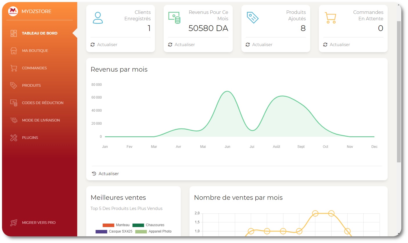 mydzstore dashboard