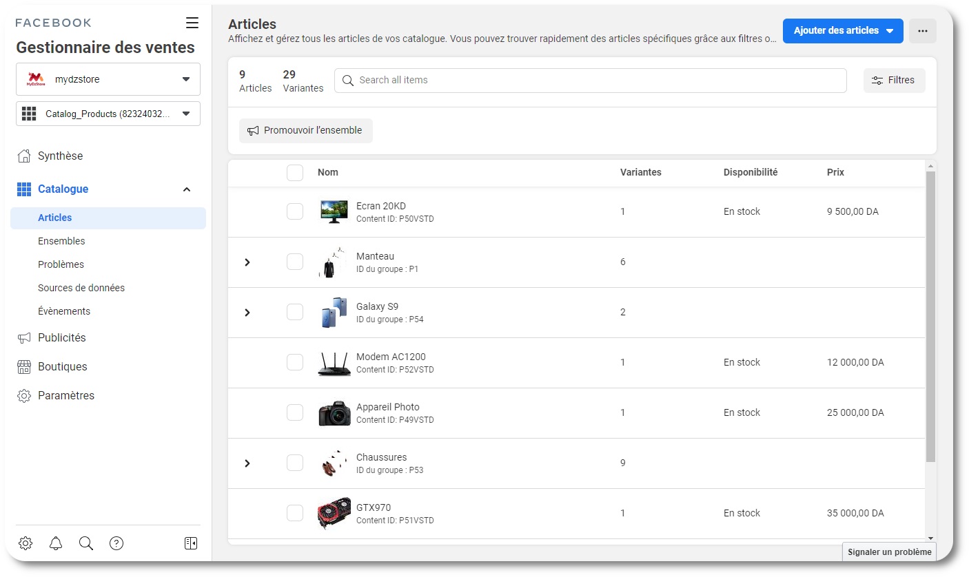 mydzstore facebook catalog